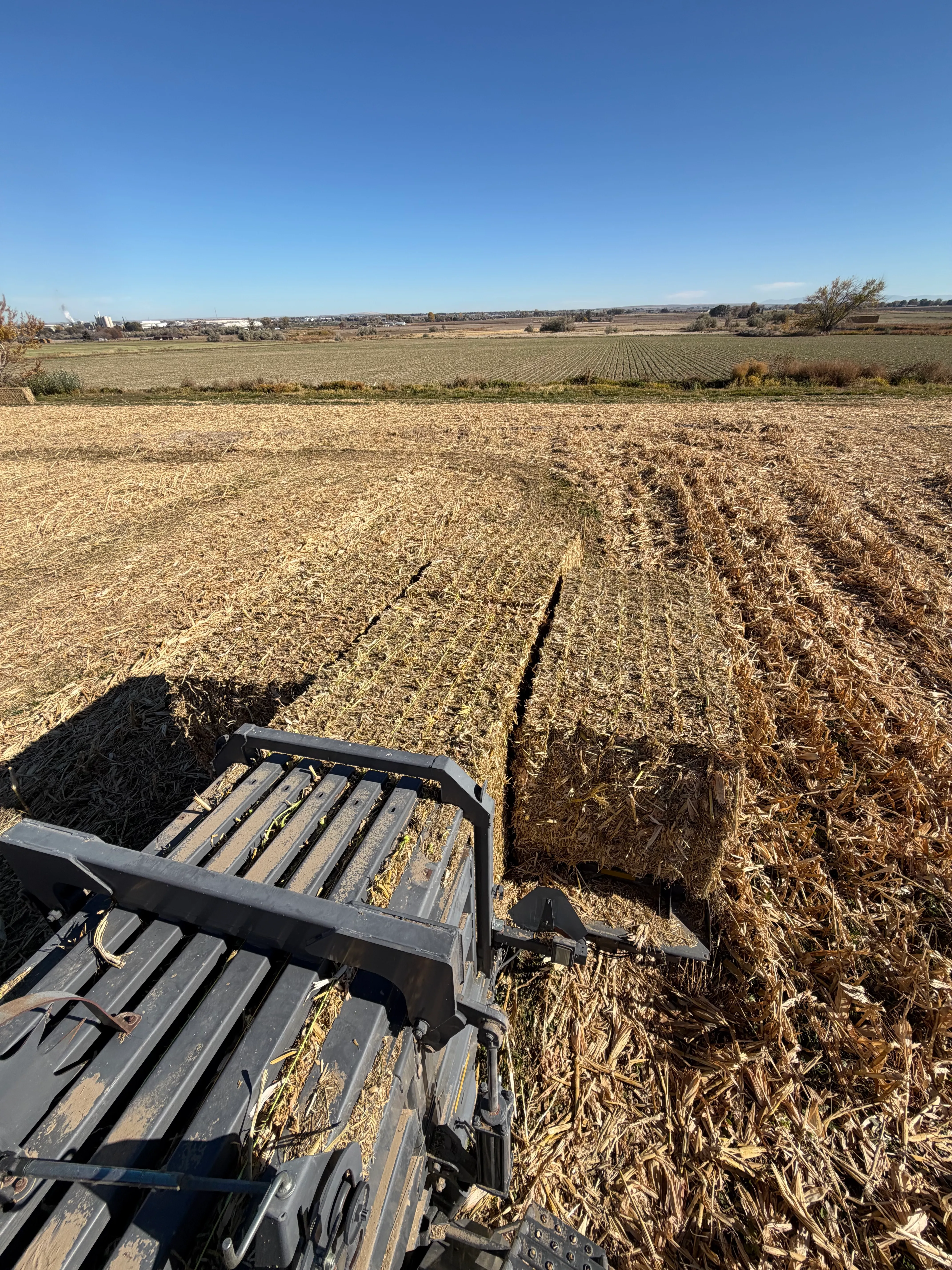 Premium Cornstalk Bales - Large Square - Livestock Bedding & Feed